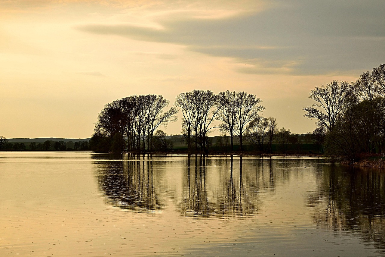 Tuin met regenwateropvang voor energie-efficiëntie.