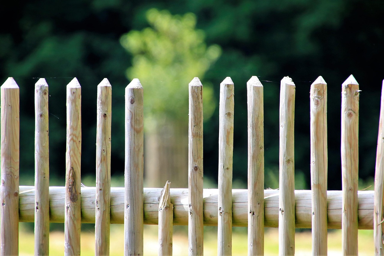 Slimme verticale structuren optimaliseren tuinruimte. Slimme verticale structuren optimaliseren tuinruimte.