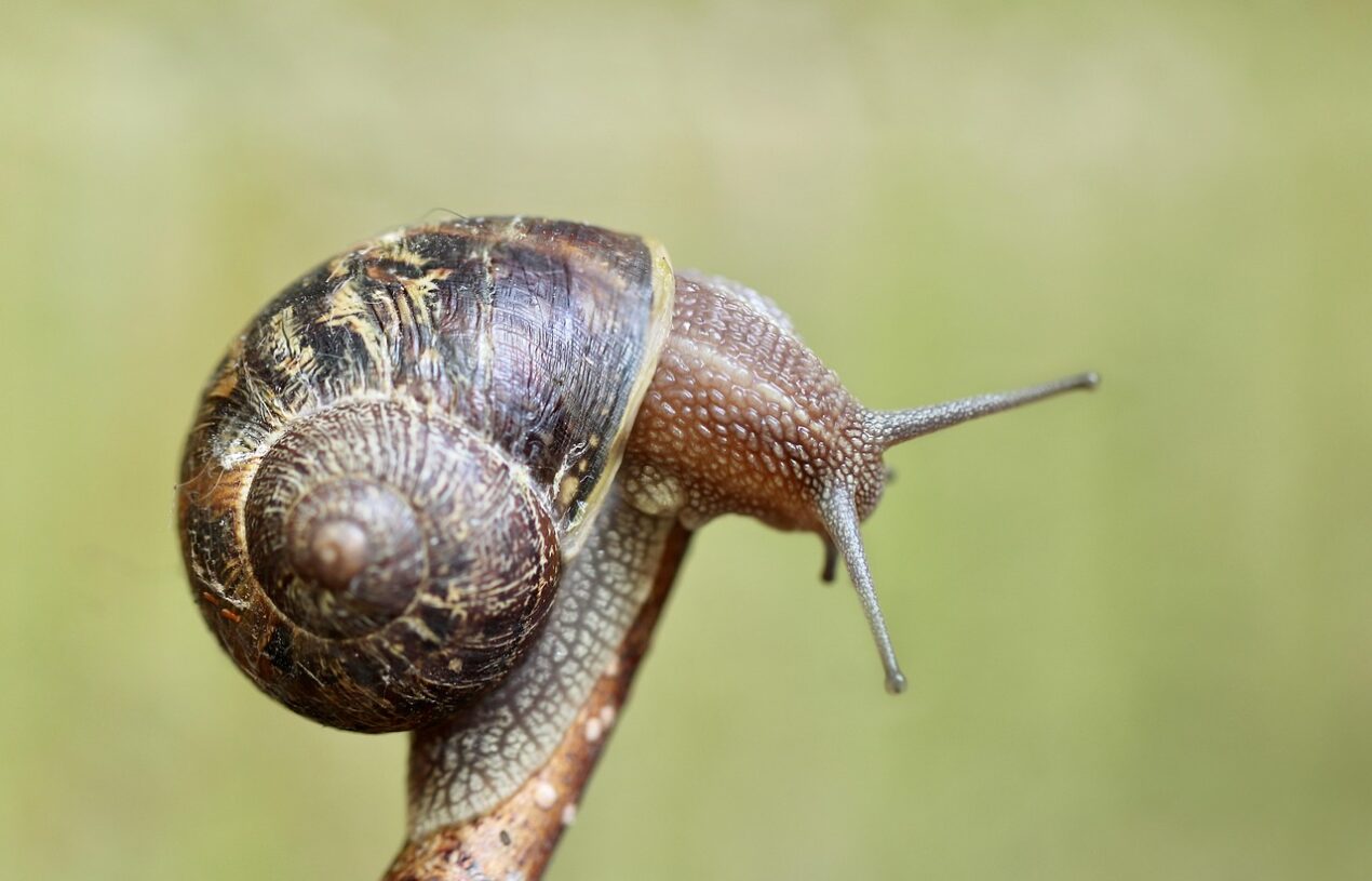 De nieuwste luchtkwaliteitssensoren: bereid je huis voor op de zomerse hitte