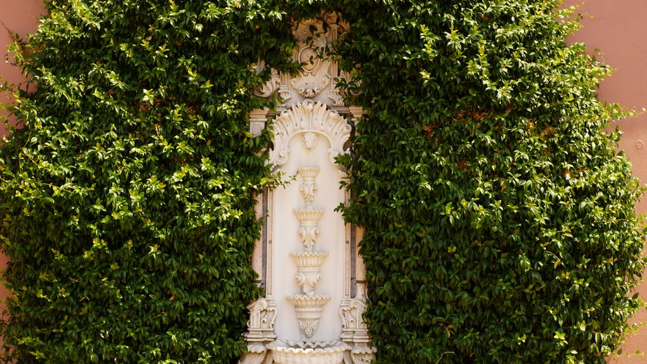 Groot formaat tuinposter tegen bakstenen muur. Groot formaat tuinposter tegen bakstenen muur.