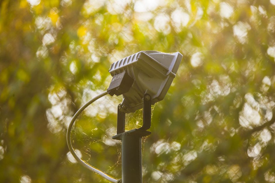 Sfeervolle tuinverlichting met halogeenlampen tussen struiken. Sfeervolle tuinverlichting met halogeenlampen tussen struiken.