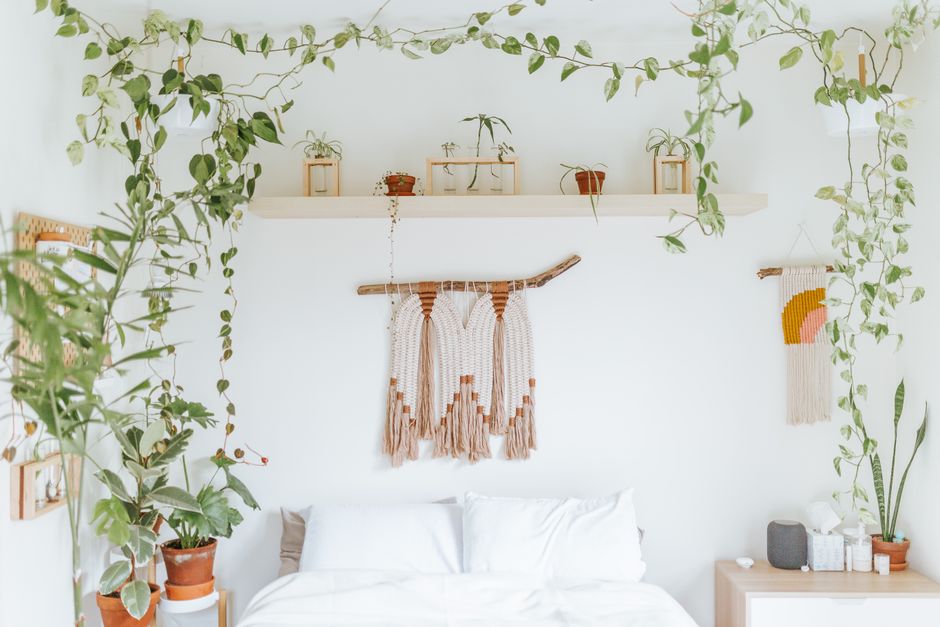 Groene planten naast een houten bedframe. Groene planten naast een houten bedframe.
