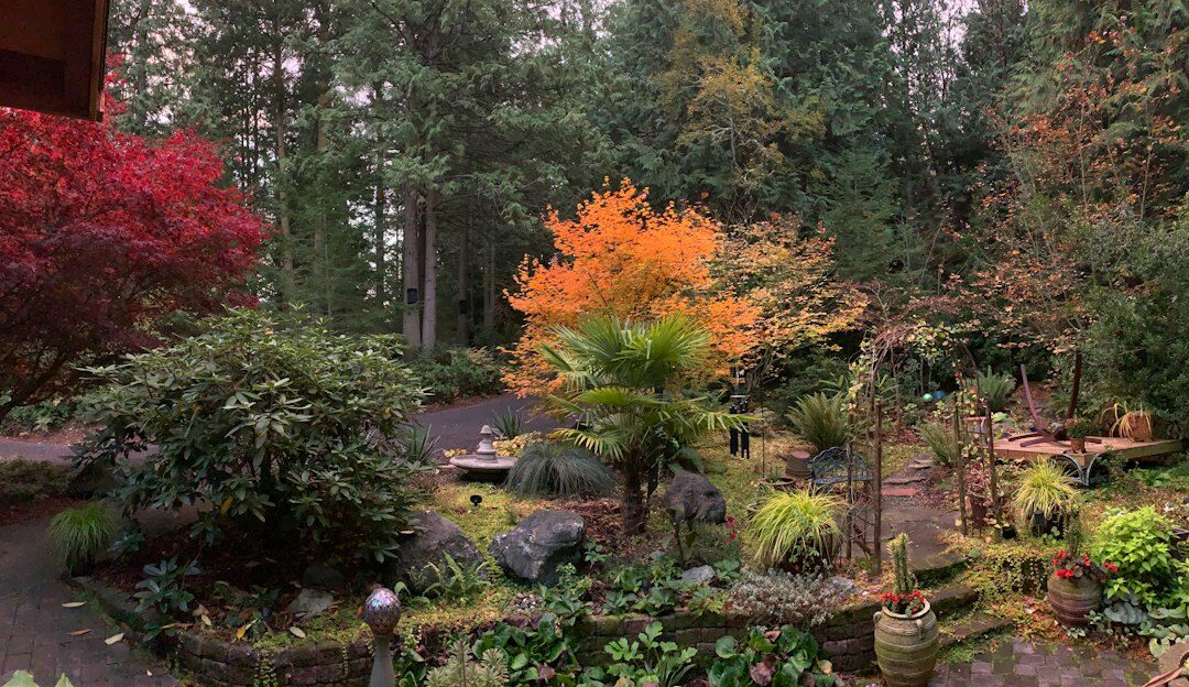 Miniatuurtuinen: herfstbezinning in het klein