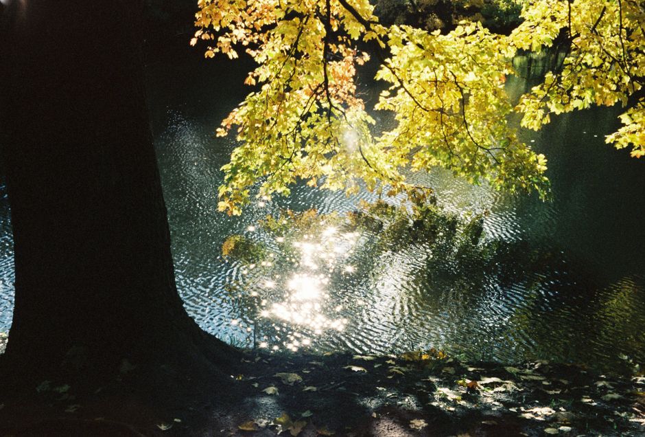 Zonnestralen op wateroppervlak in herfstmiddag. Zonnestralen op wateroppervlak in herfstmiddag.